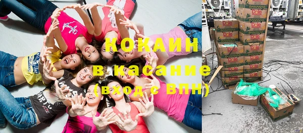 ПСИЛОЦИБИНОВЫЕ ГРИБЫ Лагань