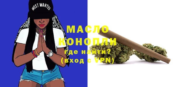 гашик Ладушкин