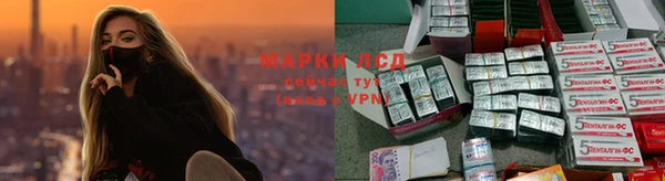 прущие грибы Липки