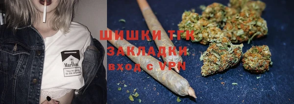 мяу мяу мука Лабытнанги