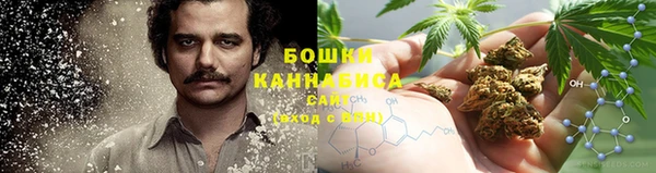 ПСИЛОЦИБИНОВЫЕ ГРИБЫ Лагань