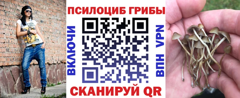 Псилоцибиновые грибы Cubensis  купить наркотики цена  Спас-Клепики 