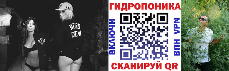 магазин продажи наркотиков  Спас-Клепики  Бошки Шишки марихуана 